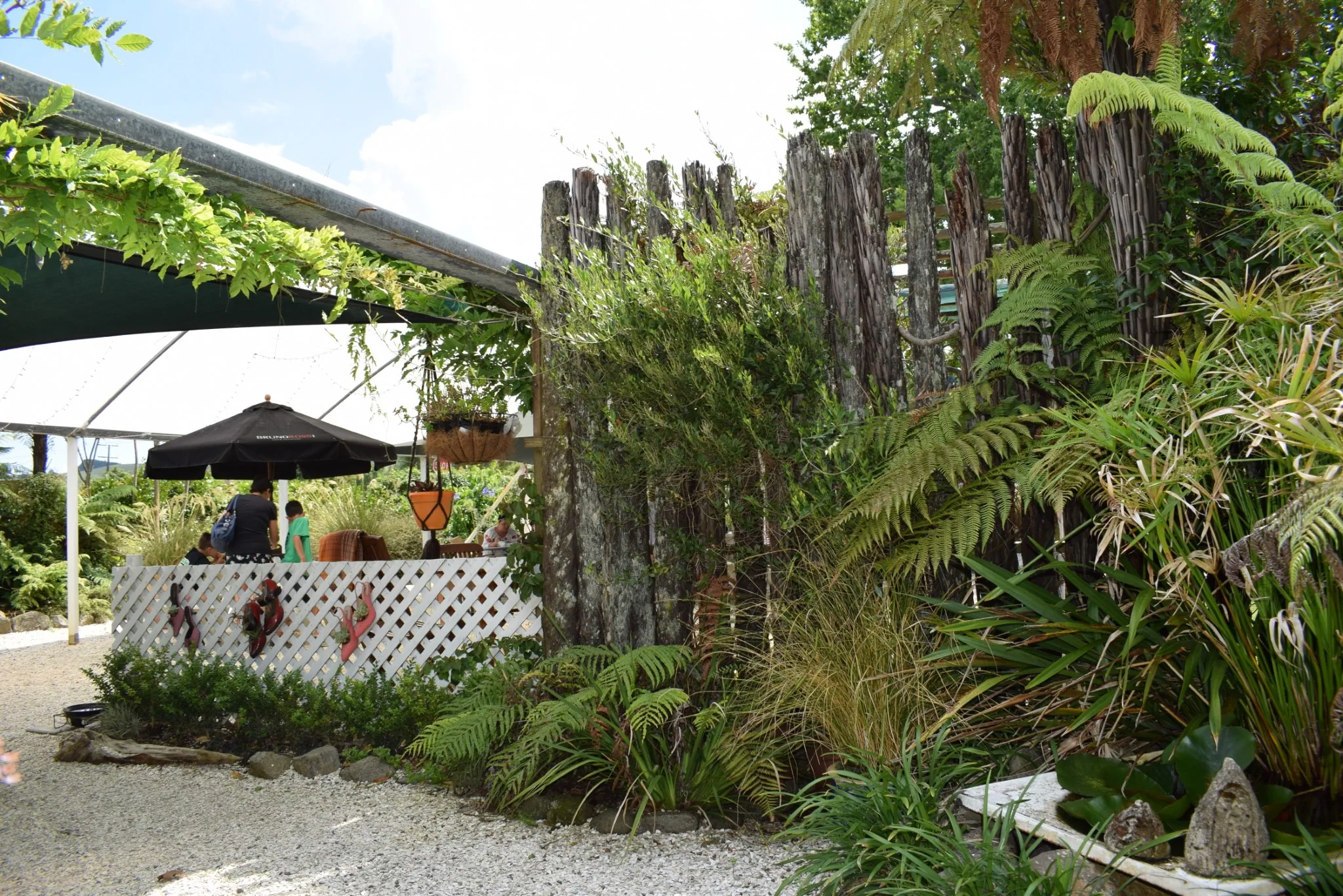 L17 marshall released from auckland quarantine (native tree cafe mangatarata) 17 dec 2017 (3)